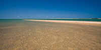 Ilha do Guajirú - The ecological paradise!